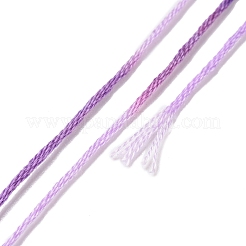 10 Skeins 6-Ply Polyester Embroidery Floss&nbsp;OCOR-K006-A34