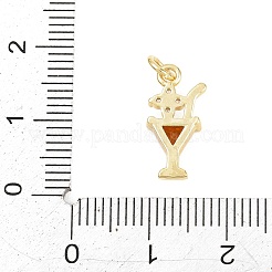 Brass Micro Pave Cubic Zirconia Pendants&nbsp;KK-D258-30G