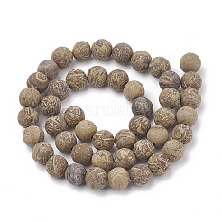 Natural Elephant Skin Jasper/Miriam Stone/Calligraphy Stone Beads Strands&nbsp;G-T106-124
