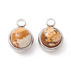 Natural Picture Jasper Charms&nbsp;G-K325-01P-06
