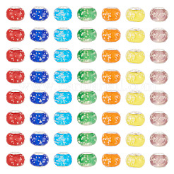 Glow In The Dark Handmade Luminous Style Lampwork Large Hole European Beads&nbsp;LPDL-BT0001-01