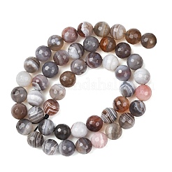 Natural Botswana Agate Beads Strands&nbsp;G-G453-B01-8mm