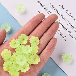 Transparent Frosted Acrylic Bead Caps&nbsp;X-MACR-S371-04A-728