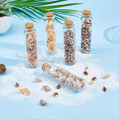 5 Styles Shell Beads&nbsp;SHEL-FH0001-23