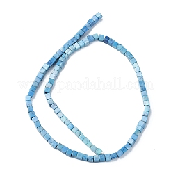 Natural Howlite Beads Strands&nbsp;G-C135-E03-01