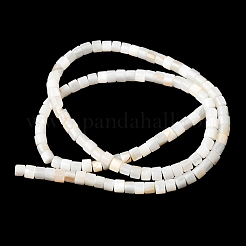 Natural Freshwater Shell Beads Strands&nbsp;SHEL-K006-07