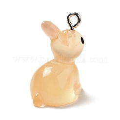 Luminous Translucent Resin Pendants&nbsp;X-RESI-A017-04