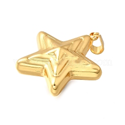 304 Stainless Steel Pendants&nbsp;STAS-H200-03G