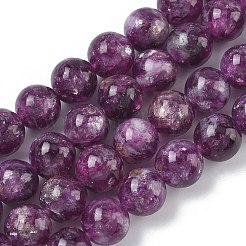 Natural Lepidolite/Purple Mica Stone Beads Strands&nbsp;G-C270-O05-14