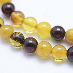 Natural Amber Beads Strands&nbsp;G-P336-16-6mm