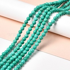 Dyed & Heated Natural Magnesite Beads Strands&nbsp;G-G924-01A-02