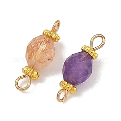 304 Stainless Steel & Natural Gemstone Connector Charms&nbsp;PALLOY-JF05970