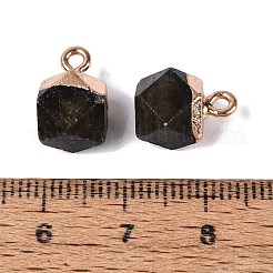 Natural Labradorite Pendants&nbsp;G-N359-18G-02