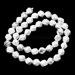 Natural Howlite Beads Strands&nbsp;G-Z119-A43-02