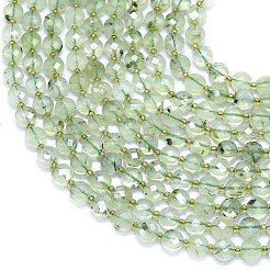 Natural Prehnite Beads Strands&nbsp;G-K389-B39-01