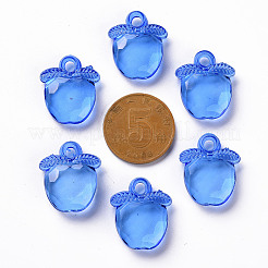 Transparent Acrylic Pendants&nbsp;TACR-S154-28B-86