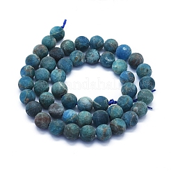 Natural Apatite Beads Strands&nbsp;G-E561-03-8mm