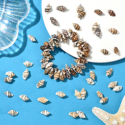 100g Natural Shell Beads&nbsp;BSHE-LT0001-04