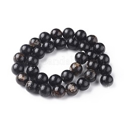 Natural Biotite Beads Strands&nbsp;G-L528-06A