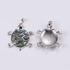 Abalone Shell/Paua Shell Pendants&nbsp;SSHEL-L008-12P