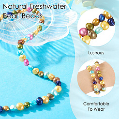 1 Strand Dyed Natural Cultured Freshwater Pearl Beads Strands&nbsp;PEAR-TA0001-16