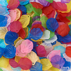 500Pcs 10 Colors Transparent Frosted Acrylic Pendants&nbsp;MACR-YS0001-03