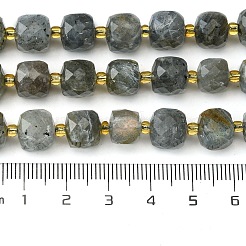 Natural Labradorite Beads Strands&nbsp;G-Q010-A25-01