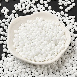 6/0 Opaque Baking Paint Glass Seed Beads&nbsp;SEED-M012-02A-37