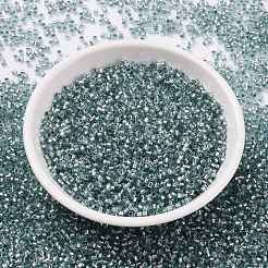 Cylinder Seed Beads&nbsp;SEED-H001-G08