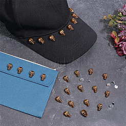 50Pcs Skull Alloy Rivets&nbsp;FIND-PH0062-02AG