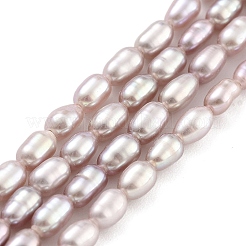 Natural Cultured Freshwater Pearl Beads Strands&nbsp;PEAR-P062-02B