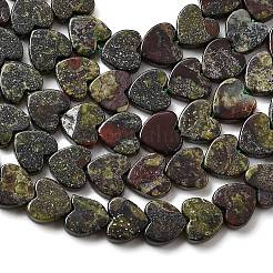 Natural Dragon Blood Jasper Beads Strands&nbsp;G-A272-A01-30