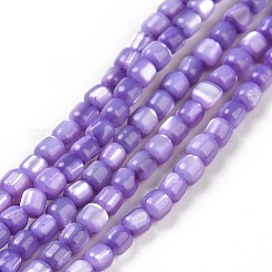 Natural Trochus Shell Beads Strands&nbsp;SSHEL-H070-02