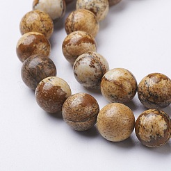 Natural Gemstone Beads Strands&nbsp;GSR10mmC016
