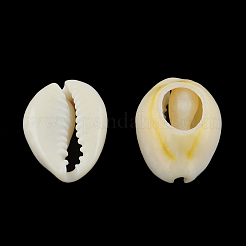 Natural Mixed Cowrie Shell Beads&nbsp;BSHE-S052-01