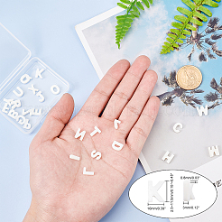 Natural Freshwater Shell Beads&nbsp;SHEL-PH0001-16
