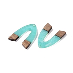 Resin & Wood Pendants&nbsp;LS-WOOD-F015-16D