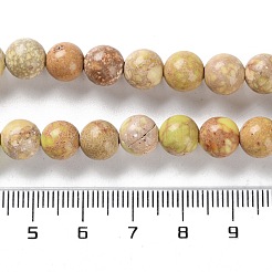 Dyed Natural Regalite/Imperial Jasper/Sea Sediment Jasper Beads Strands&nbsp;G-B124-C01-08