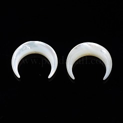 Natural White Shell Mother of Pearl Shell Beads&nbsp;SSHEL-T012-07