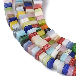 Handmade Lampwork Beads Strands&nbsp;LAMP-Q037-02A-09