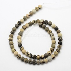 Natural Dendritic Jasper Frosted Round Beads Strands&nbsp;G-O039-01-6mm