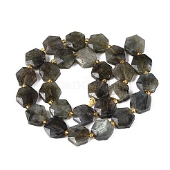 Natural Labradorite Beads Strands&nbsp;G-N368-01A-07