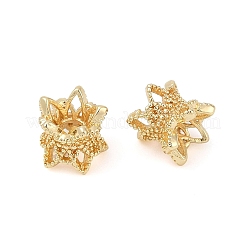 Brass Beads&nbsp;KK-H202-13KCG