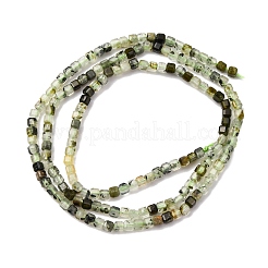 Natural Prehnite Beads Strand&nbsp;G-RM241221-K3