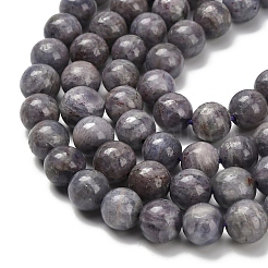 Natural Iolite Beads Strands&nbsp;G-C259-B06-8mm