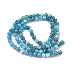 Natural Apatite Beads Strands&nbsp;LS-G-N342-34-01