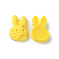 Luminous Resin Cabochons&nbsp;RESI-E039-11