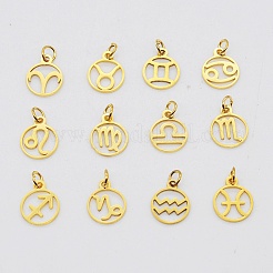 201 Stainless Steel Charms&nbsp;STAS-Q237-M003-8
