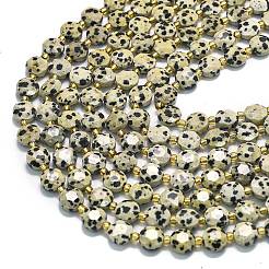 Natural Dalmatian Jasper Beads Strands&nbsp;G-C116-A31-02