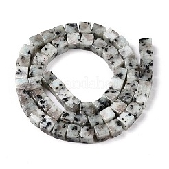 Natural Sesame Jasper/Kiwi Jasper Beads Strands&nbsp;G-T139-6x6-01A
